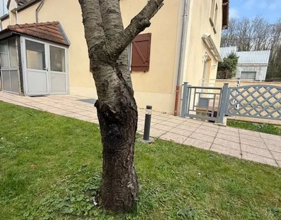 Maison de luxe 6 pièces 234 m²