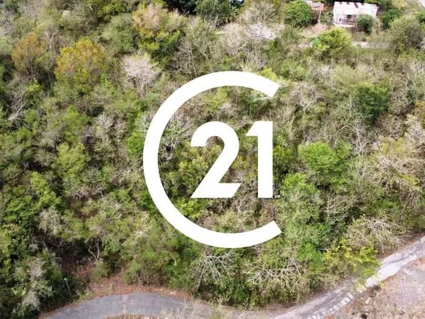 Terrain boisé à vendre - Les hauteurs des Anses-d'Arlet ?