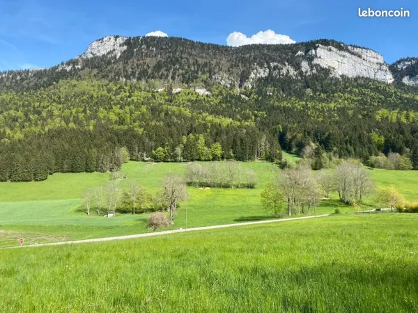 Saint-Julien-en-Vercors : Terrain à Bâtir - 2 300 m² (partie constructible 641 m²)