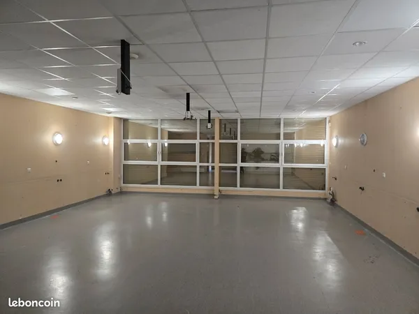 Location local commercial ou professionel
