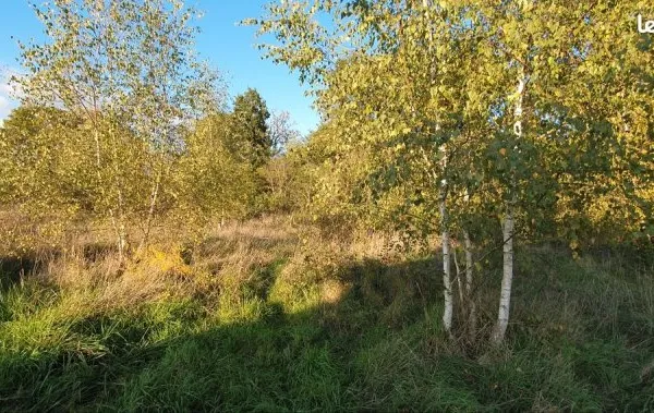 Rare Beau terrain 2606 m² au calme