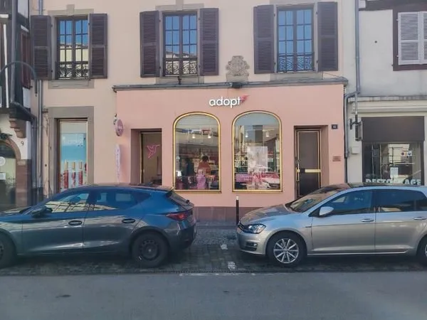 Local commercial sélestat centre