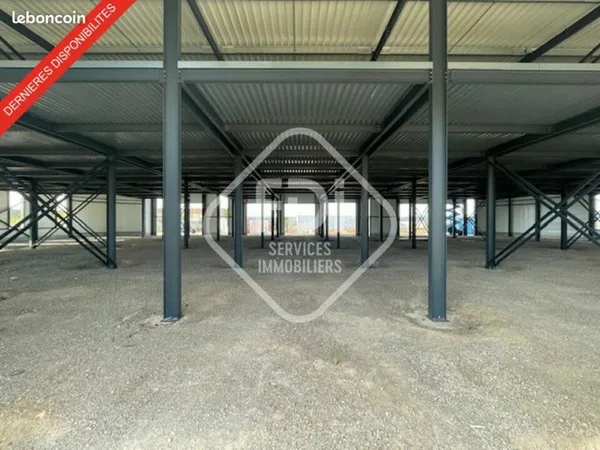 LOCAL D'ACTIVITE 246 m² SAINT GEORGES D'ORQUES