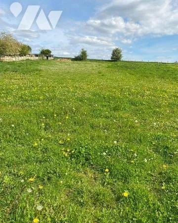 Terrain 2979 m²