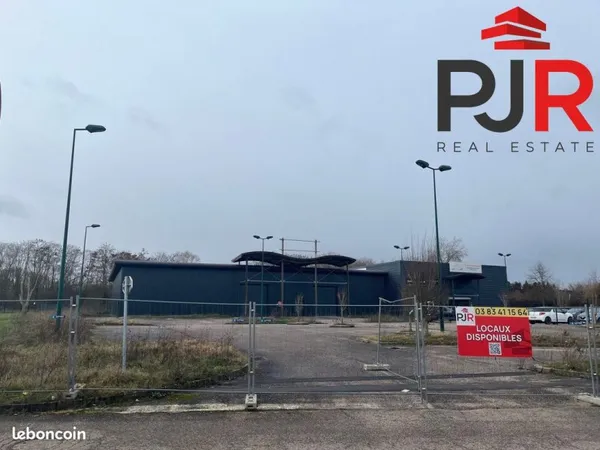 Local 1194 m² Dombasle-sur-Meurthe