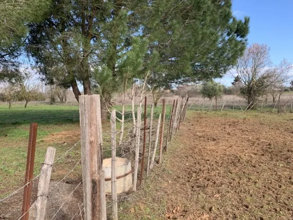 Terrain 3863 m²