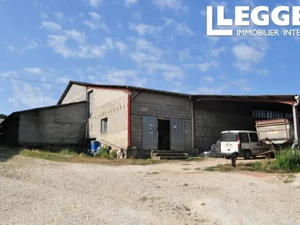 Exploitation agricole en vaches laitières en bio