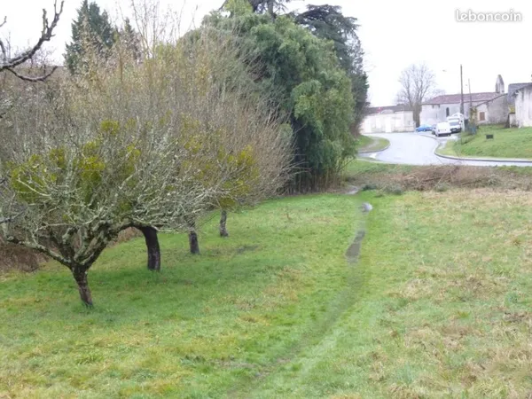 Terrains avec arbres frutiers et bambous de 1065 m²