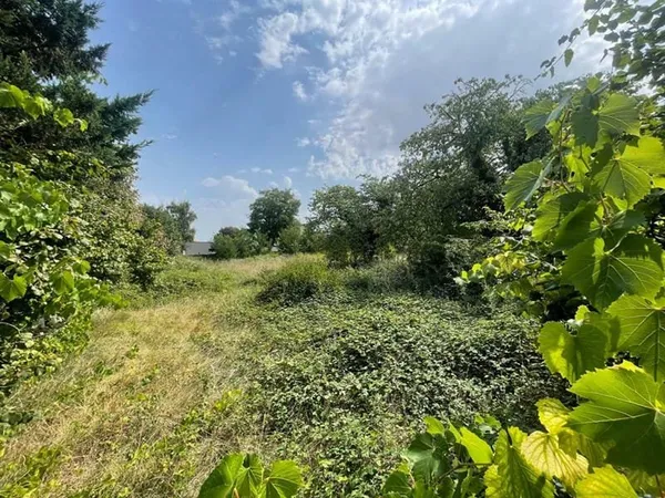 Terrain Chateau Renard 1638 m2