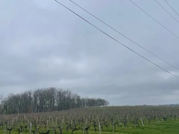 Bien agricole et foncier Vente Frontenac  70500m² 1200€