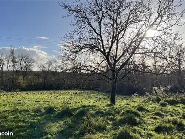 Terrain 6 846 m² Cours De Pile