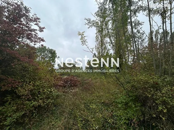 Terrain 5792 m²