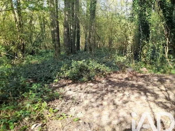 Terrain 2653 m²