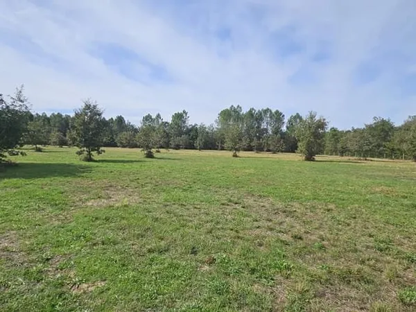 Terrain Constructible de 1 Ha 19a 69ca