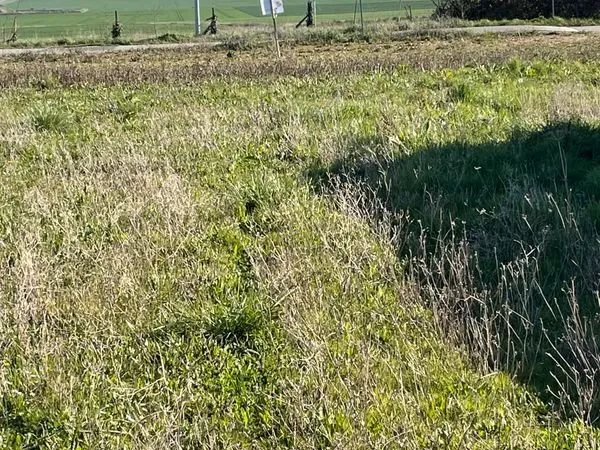 Av terrain viabilisé