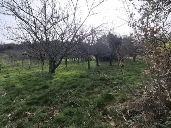 Terrain constructible à Bonnac la Côte