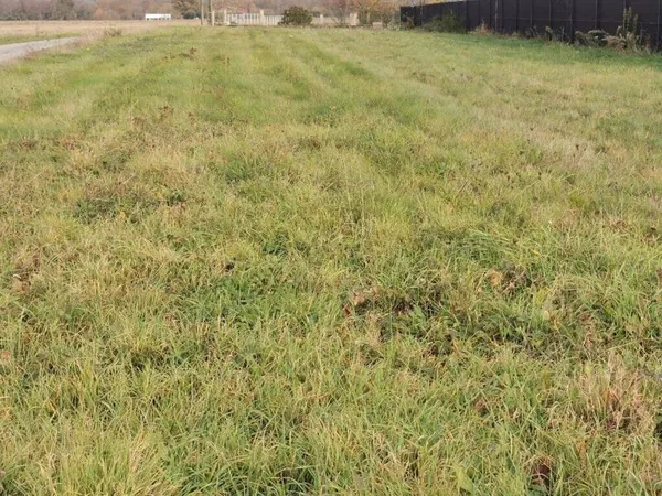 Terrain constructible 1183 m²