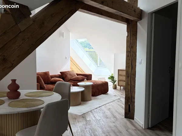 Appartement/studio meublé et rénové à neuf - 50m2 - Epinal