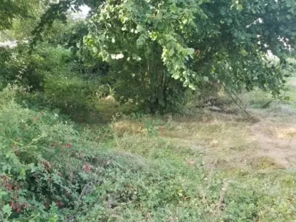 Terrain 550 m²