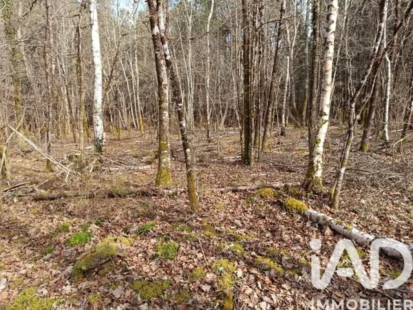 Terrain 7302 m²