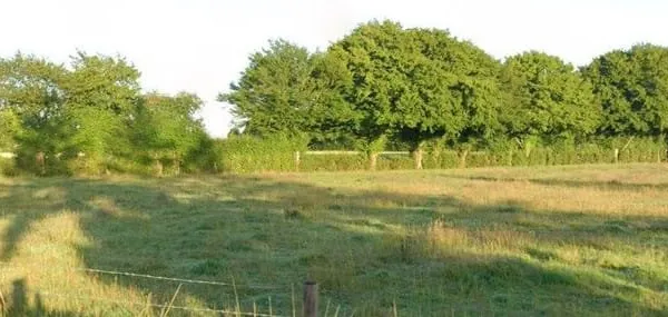 Terrain 1002 m²
