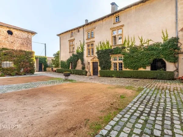 Achat : Maison (69550)