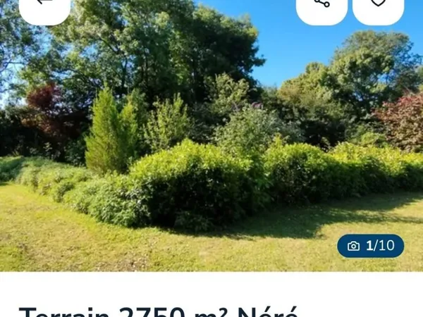 Terrain 2750m2