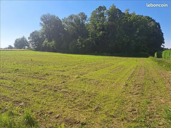 Terrain 2 400 m² Sarlande