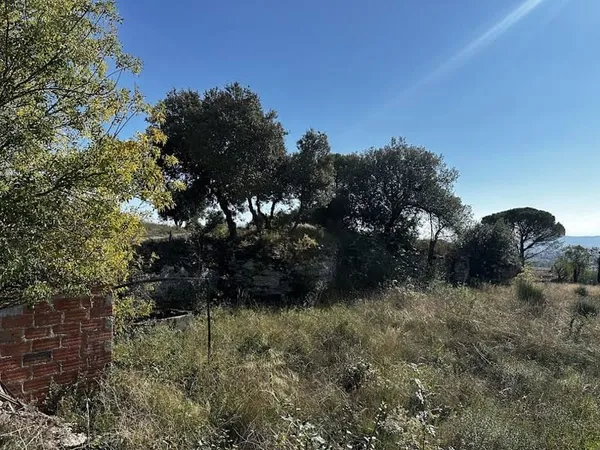 Terrain 1240 m²