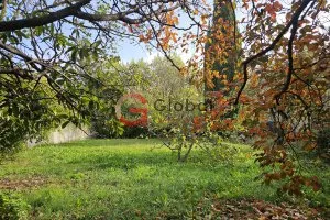 Opportunité ! Terrain libre constructeur avec permis accepté, secteur recherché, Saint Rémy de Prove