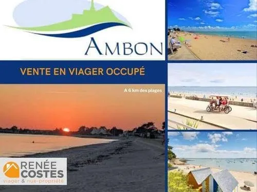 Viager occupé - F66 ans - AMBON (56190)