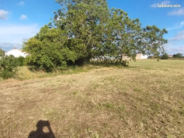 Terrain d un hectare dont 6000 M2 constructibles