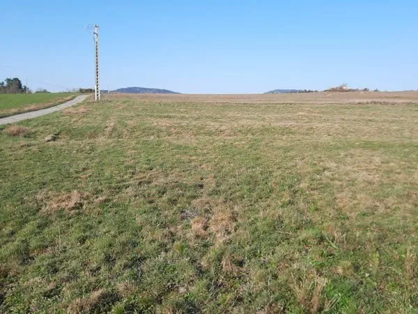 Terrain agricole