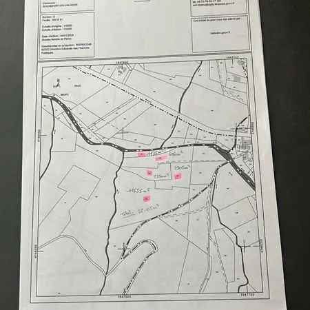 Parcelles boisée uniquement de pins