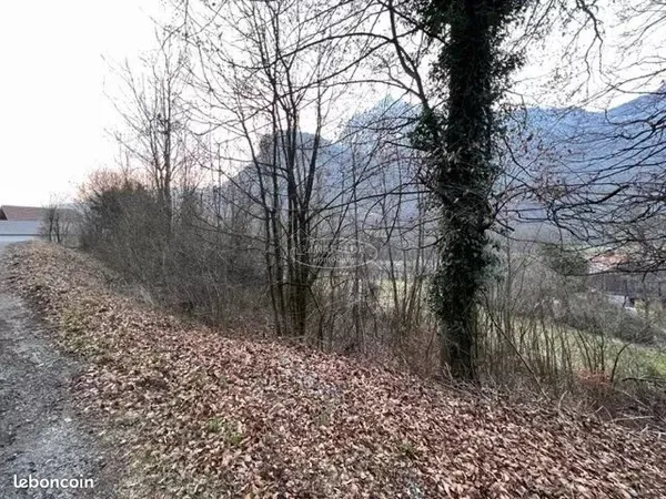 Terrain 1559 m² Magland