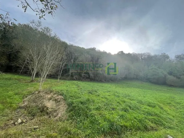 Terrain 5262 m2 non viabilisé