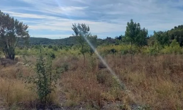 Terrain 631 m²
