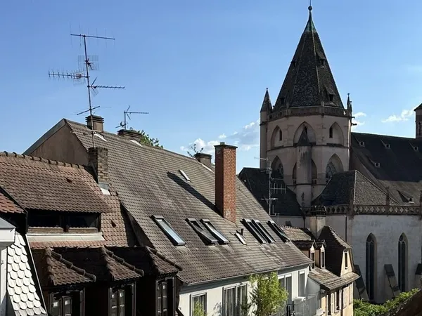 Strasbourg centre historique - prox. Place st thomas - fac de medecine - dernier etage - appartement