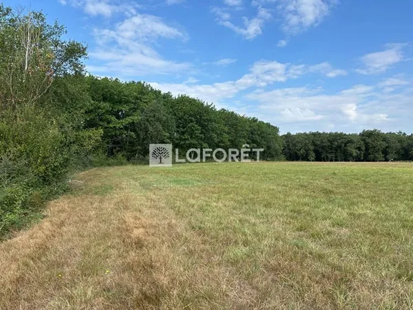 Terrain boisé agricole VACQUIERS 45574 m2