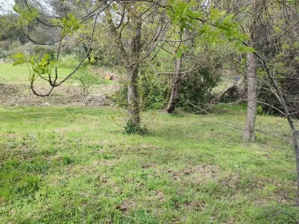 Terrain landes frîches