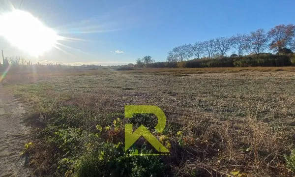 Vente d'un terrain agricole sur Montady