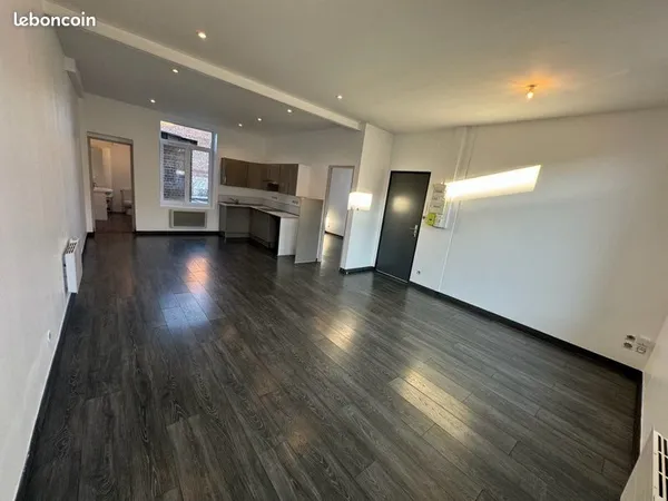 Appartement T2 55m2 Lille rénové à neuf