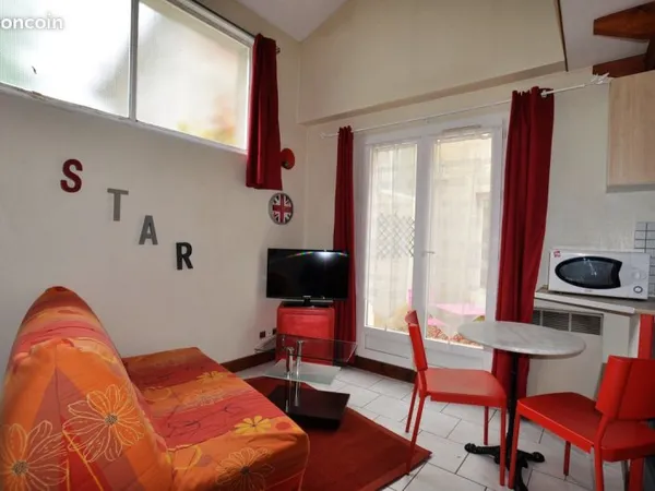Sturio avec mezzanine et courette
