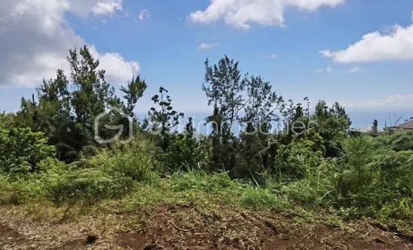 Terrain constructible 2063 m²
