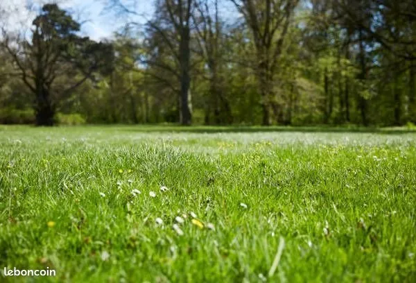 Terrain 950 m² Le Barp