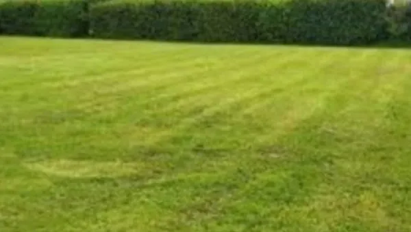 Terrain 800 m²