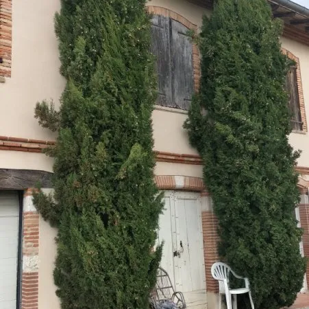 Maison 4 pièces 325 m²