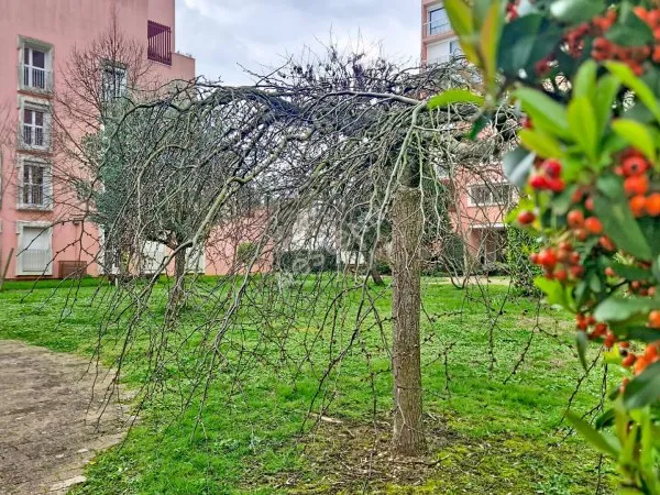Appartement T3 bis à Poitiers, rez-de-chaussée avec balcon et parking couvert