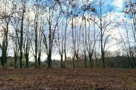 Terrain à bâtir 858 m² - Environnement calme et recherché