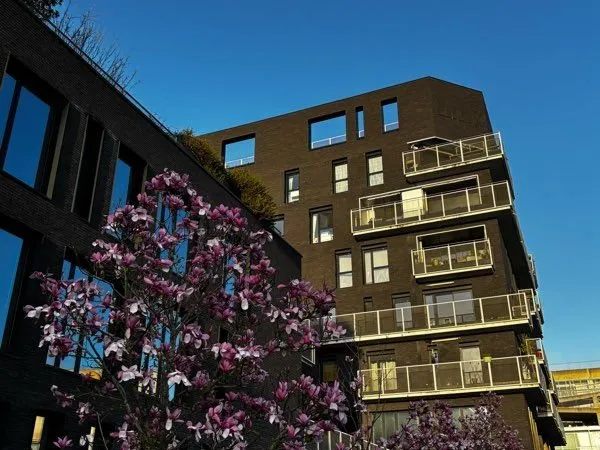 Appartement récent quartier de la Création
